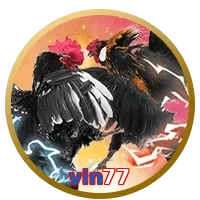 vin77